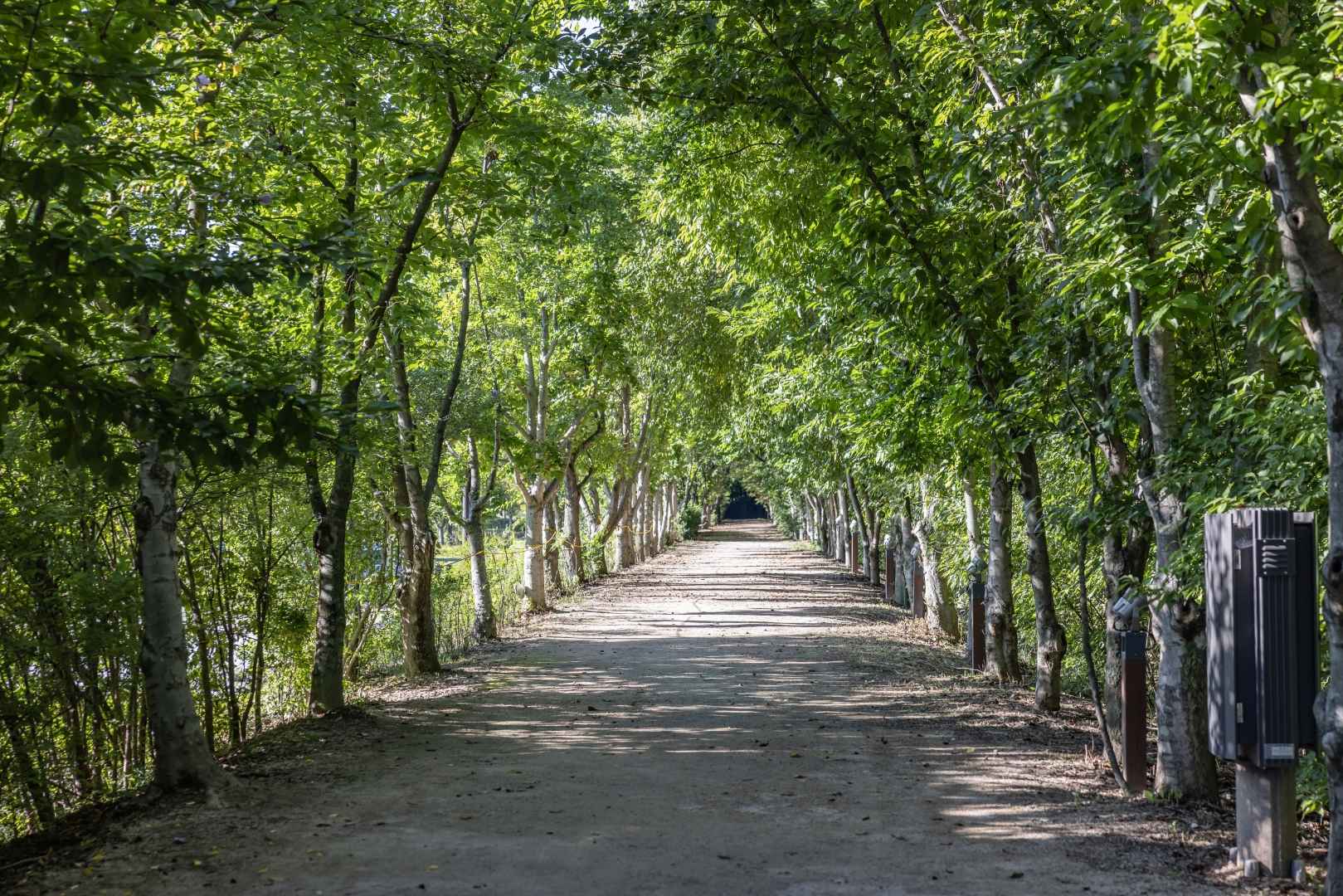 경북천년숲정원