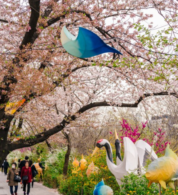 전국 벚꽃 봄꽃 축제 추천 Best 5