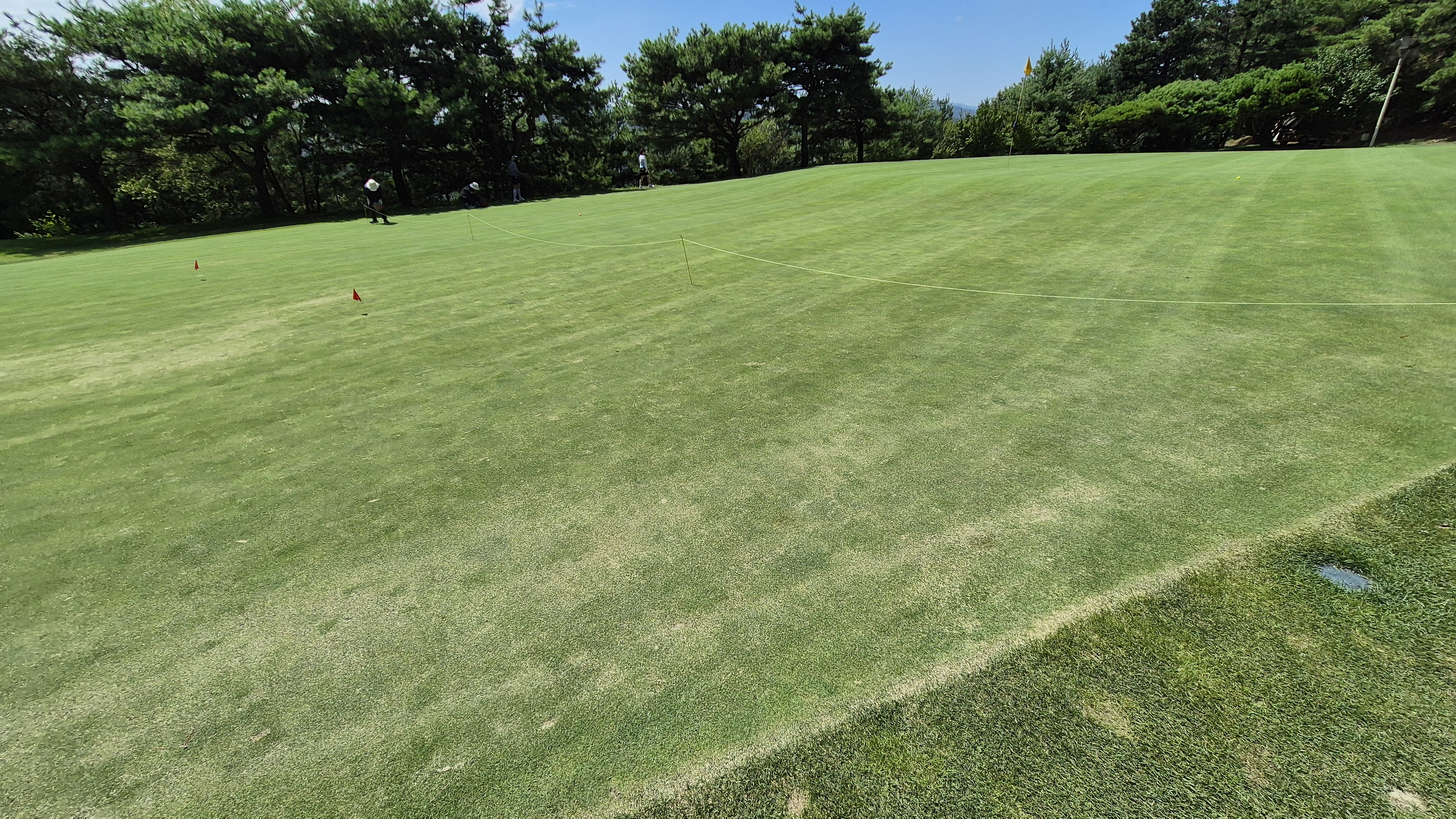 골프존카운티 화랑 라운드 후기