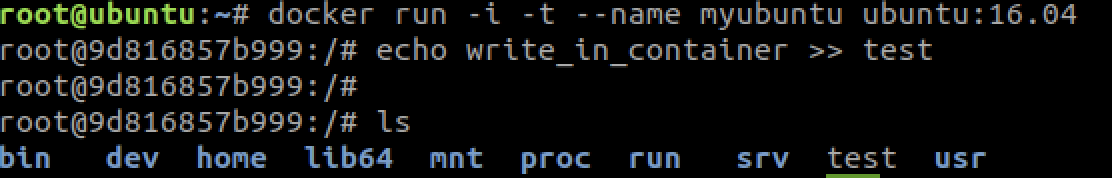 docker run
