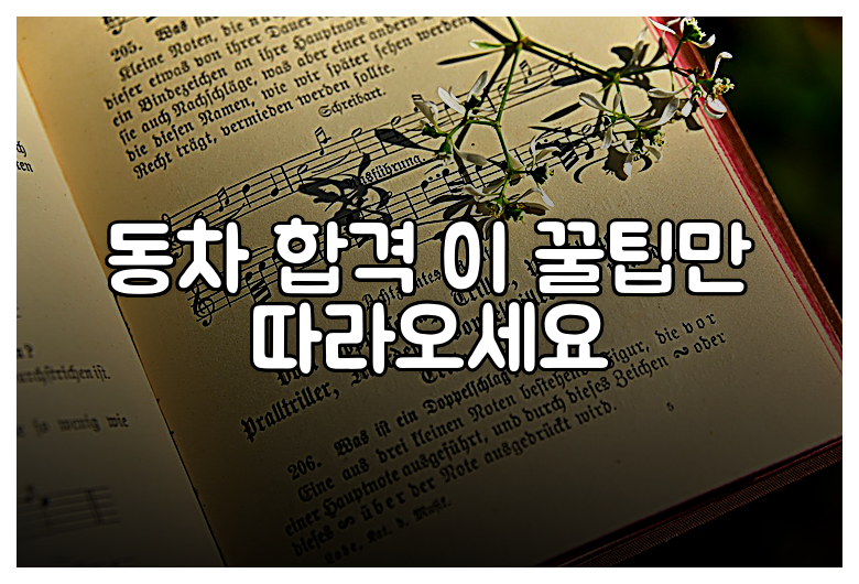 동차 합격 이 꿀팁만 따라오세요