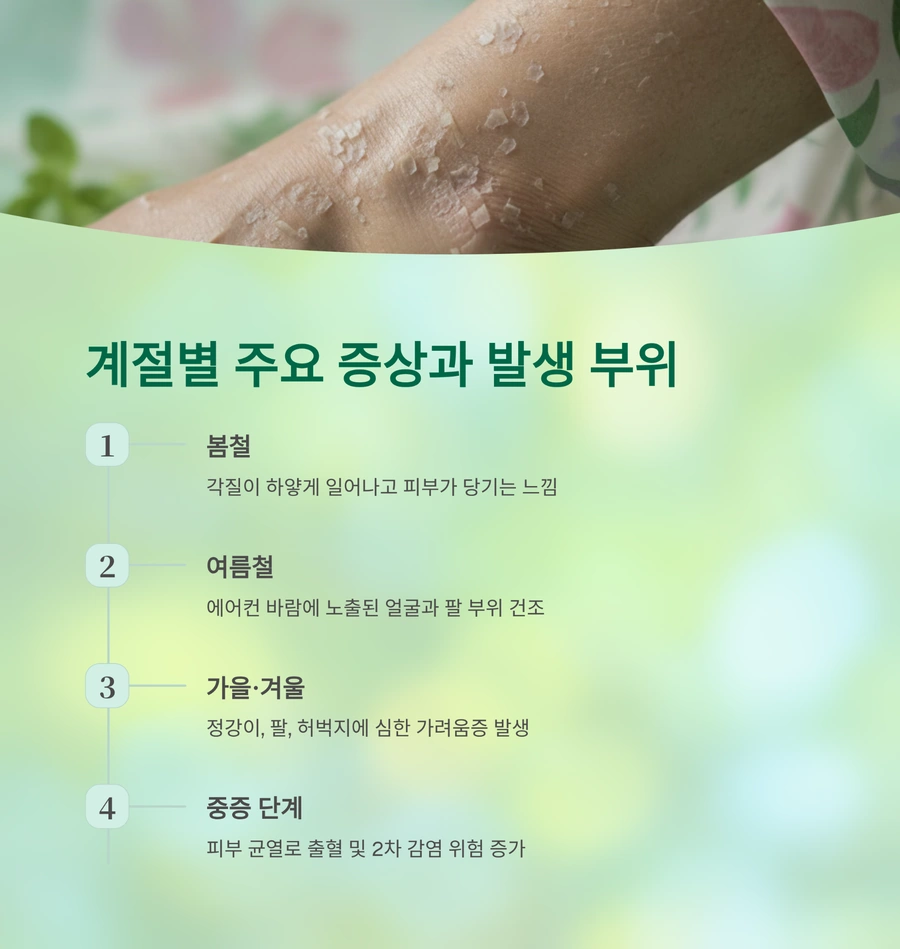 계절별 주요 증상과 발생 부위 시각 자료