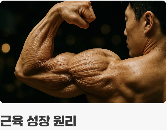단순 반복은 NO! 효과적인 훈련법