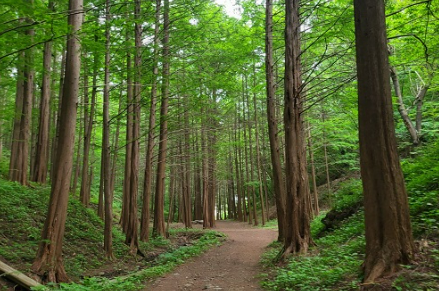코레일 여행가는 달