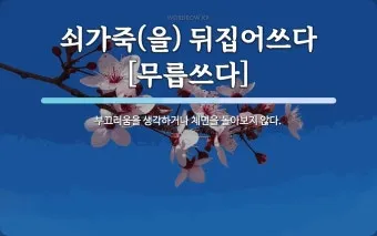 무릅쓰다 무릎쓰다 맞춤법 맞는 표현_11