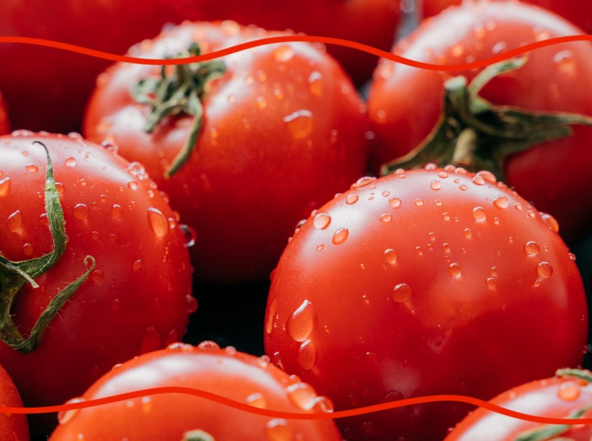 지방간에 좋은 음식 10