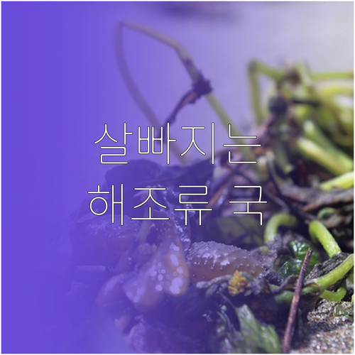 해조류 활용 저칼로리 식단 구성과 다..