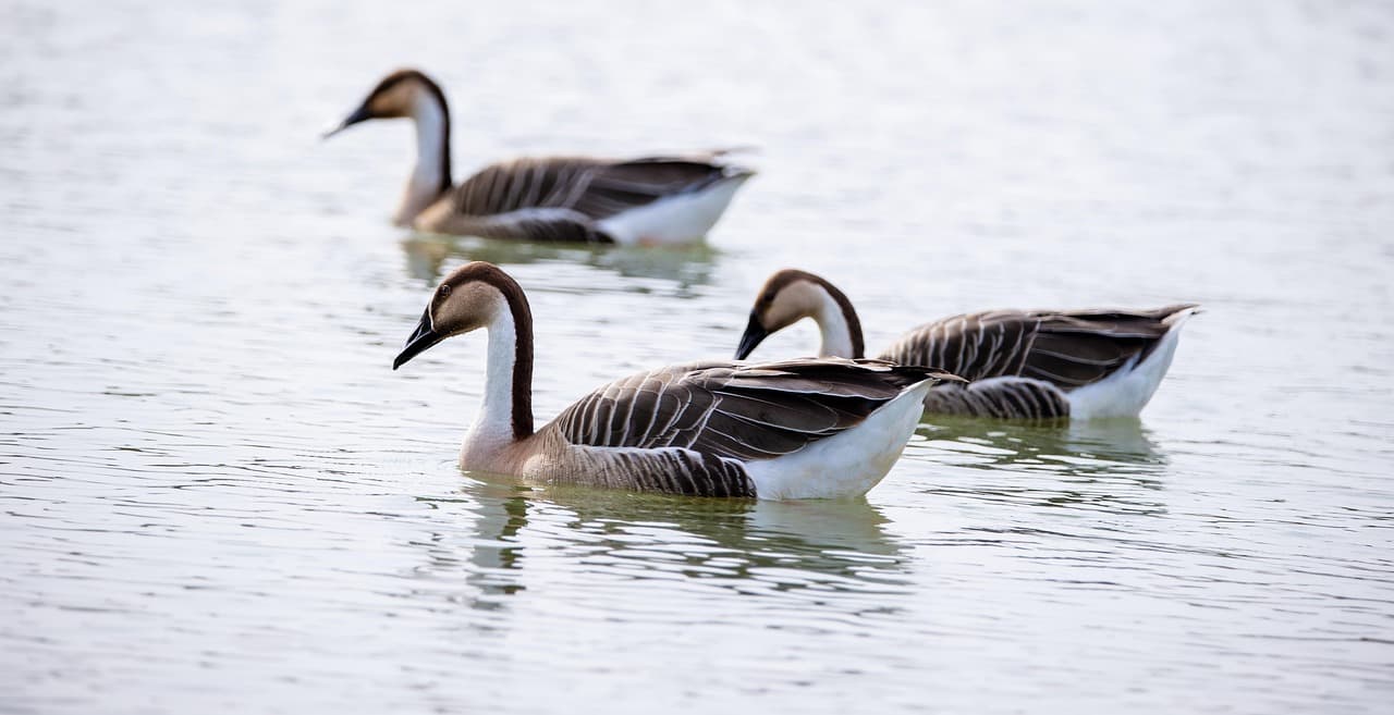 빛이 수면 호르몬을 조절합니다