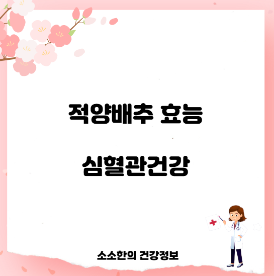 적양배추 효능 심혈관건강