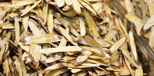 스페인감초추출물