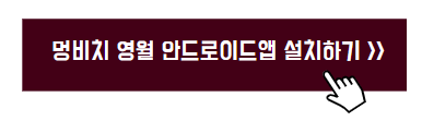 강아지 동반 여행지 추천