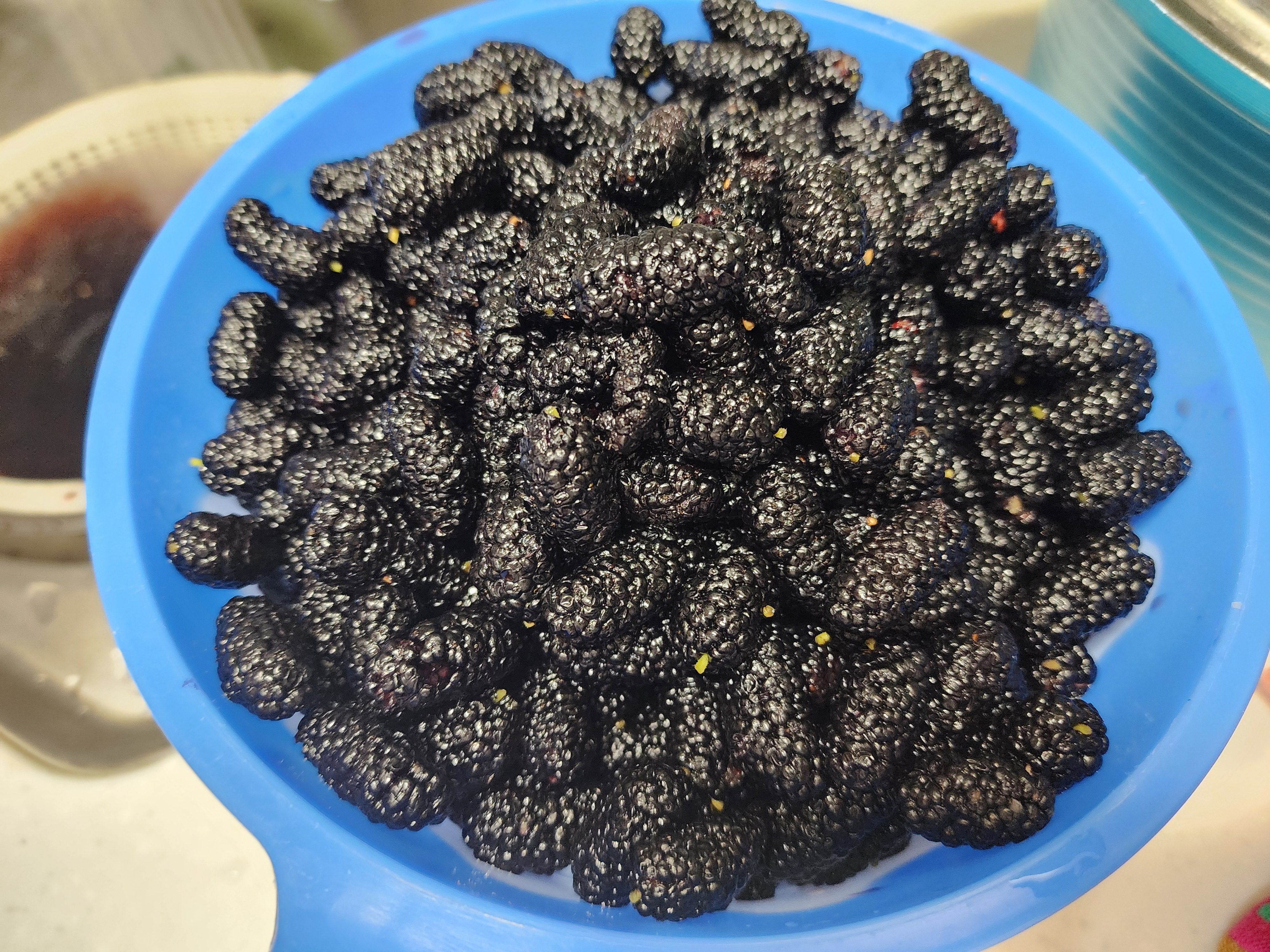 오디잼 만드는 방법, 제철 오디쨈 만들기