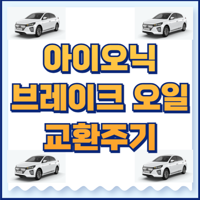 아이오닉 브레이크오일