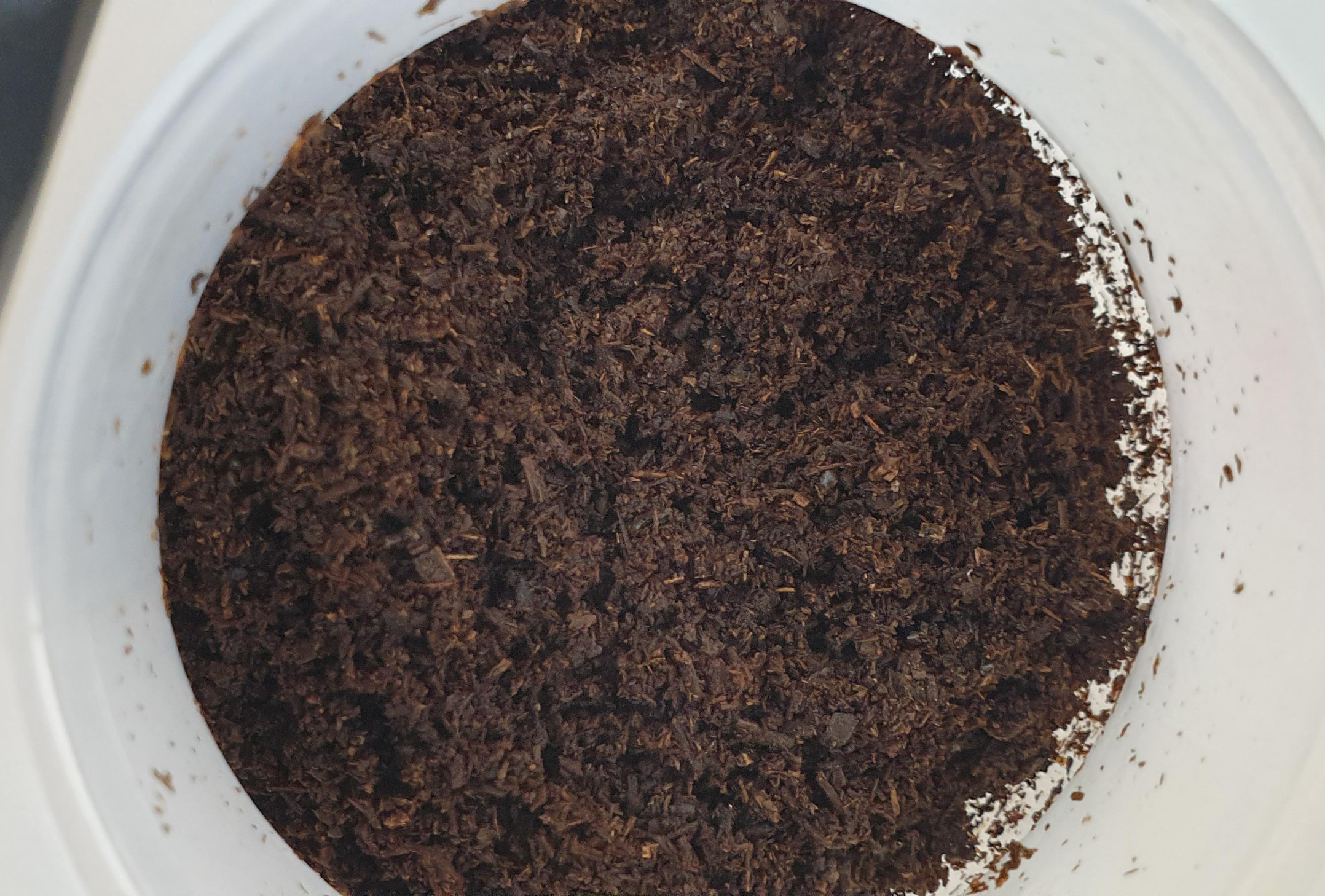 장수풍뎅이먹이