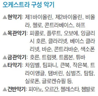 오케스트라를 구성하는 클래식 악기들의 종류와 특징을 정리_2