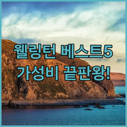 뉴질랜드 웰링턴 숙소 추천 베스트 5..