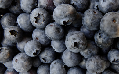 항산화 식품 BEST 7