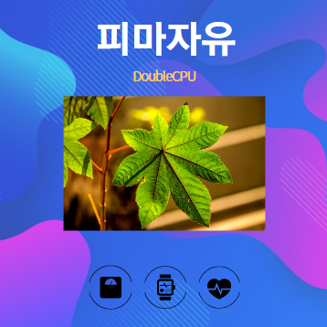 피마자유 알아보기