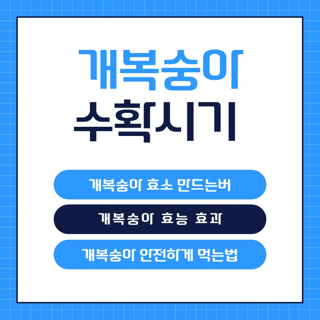 아로스 팝업