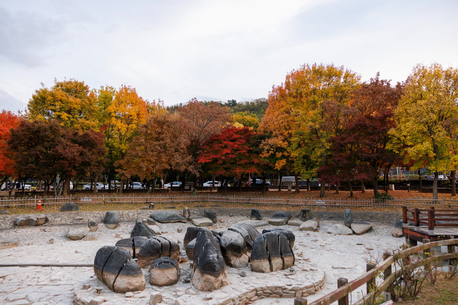 대구 가볼만한 단풍 여행은 어디일까? 대구 단풍 여행 총정리!