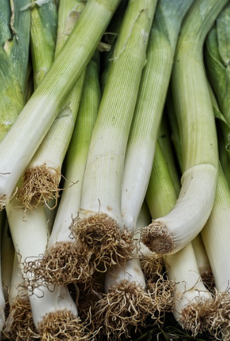 건강 기능성 식품 대파