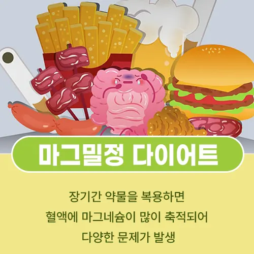 마그밀정 500mg
