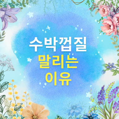 수박껍질 말리는 방법과 이유에 대해 소개합니다.