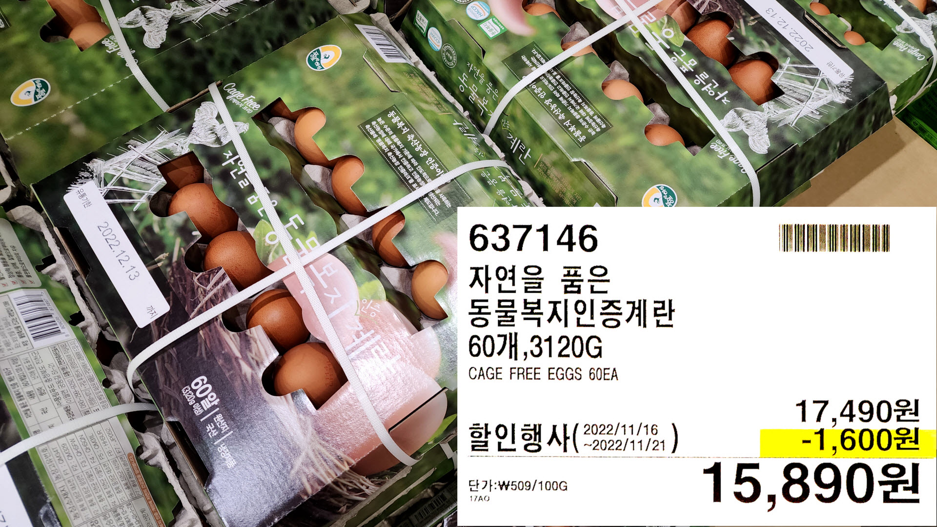 자연을 품은
동물복지인증계란
60개,3120G
CAGE FREE EGGS 60EA
15,890원