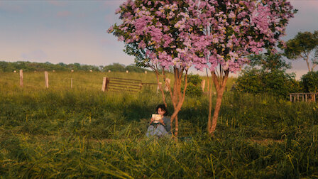 [일드 추천] 퍼스트 러브 하츠코이 다시보기 줄거리 결말 등장인물