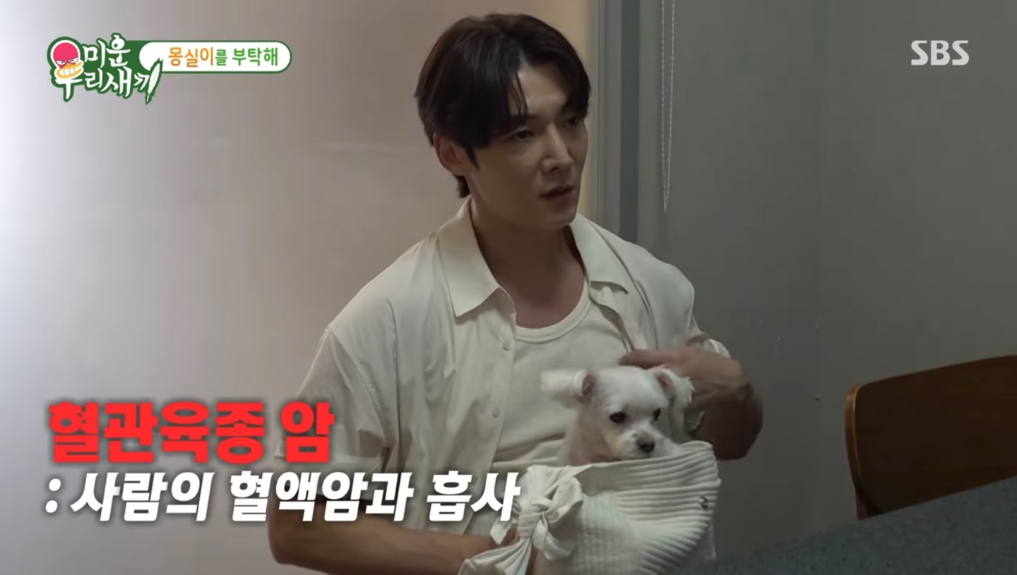 최진혁 몽실이