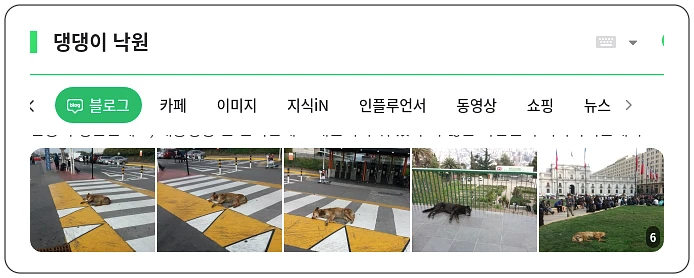 댕댕이 낙원_1_subsection