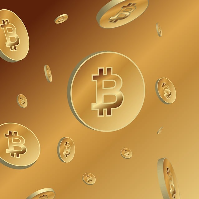 원화 스테이블 코인 발행방식&amp;#44;전망