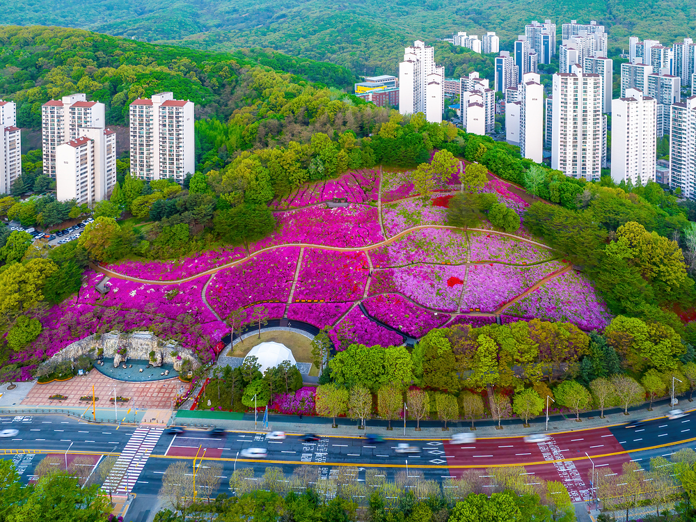 에너지성능지표검토서는 건축주, 설계가 및 관계자들이 건축물의 에너지 효율성을 쉽게 이해하고 향상시킬 수 있는 도구입니다. 이 문서를 통해 건축물의 에너지 효율성을 측정하고 비교함으로써 개선할 수 있는 영역을 찾을 수 있습니다.