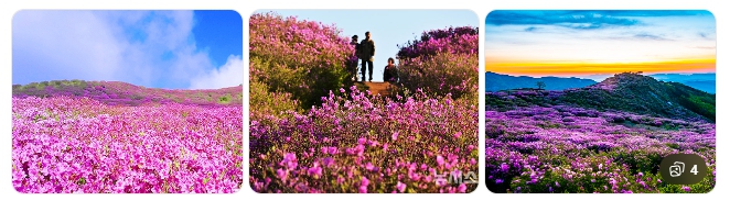 황매산 철쭉 – 5월 최고의 분홍 능선