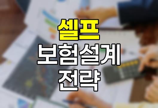 셀프 보험설계 핵심 전략