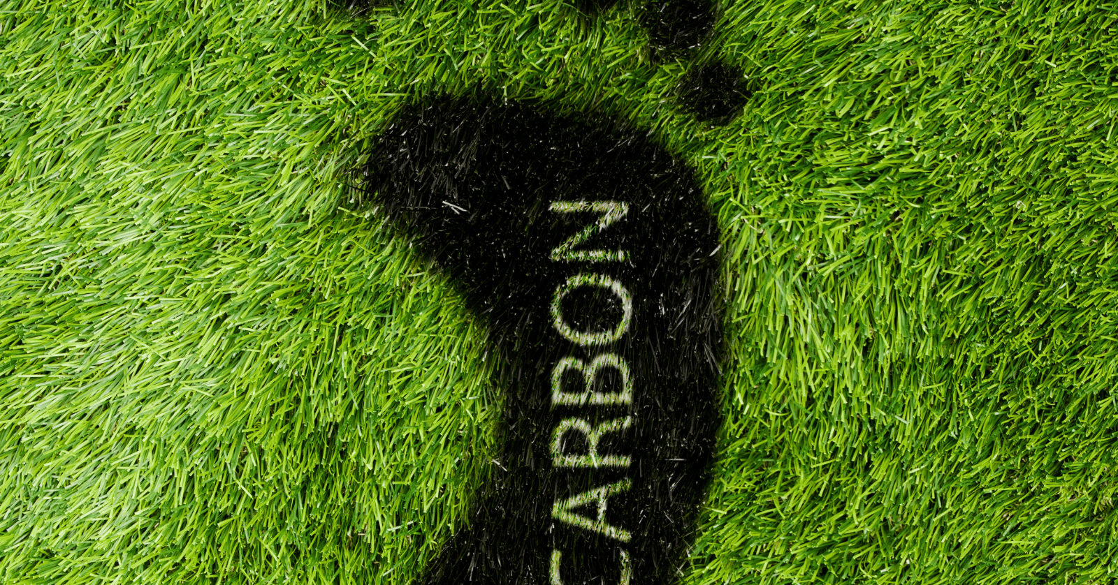 후불 기후동행카드