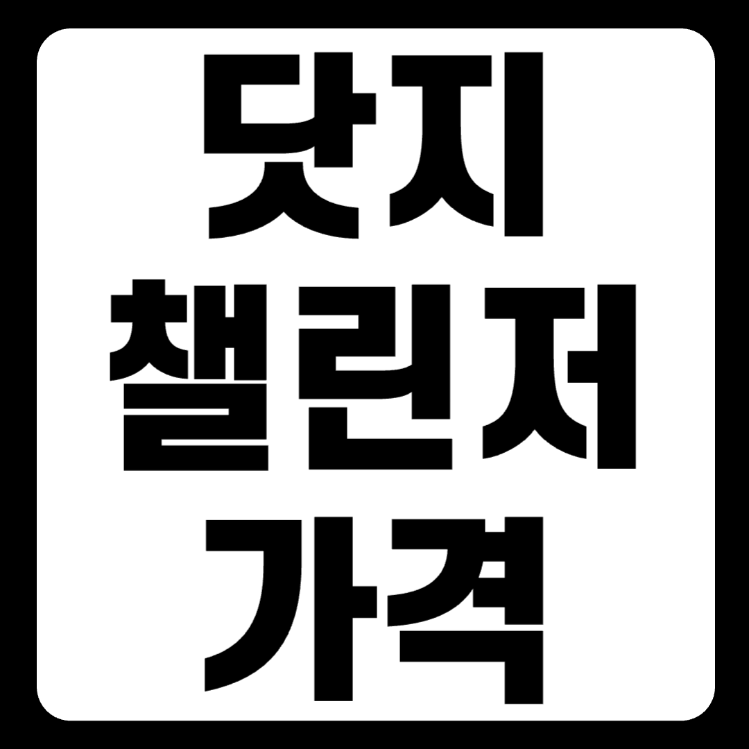 닷지챌린저 가격 데몬 중고 srt 크기 3분 만에 보기(+2024)