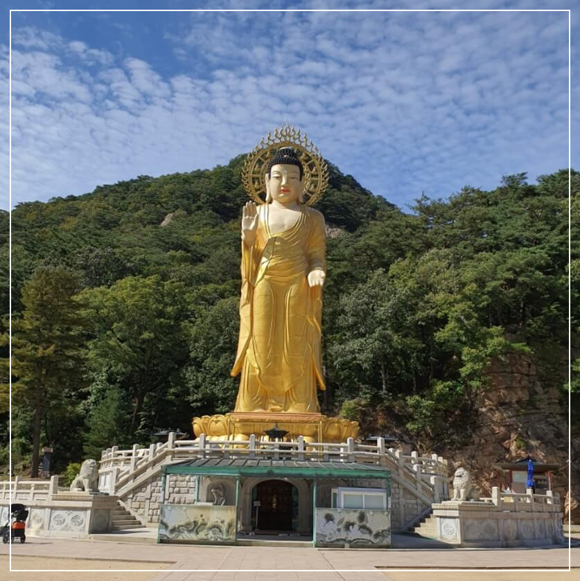 보은 가볼만한곳 베스트10 법주사