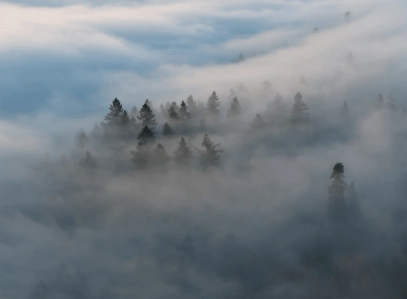계수일간 남성의 성격, 연애, 직업적 특징