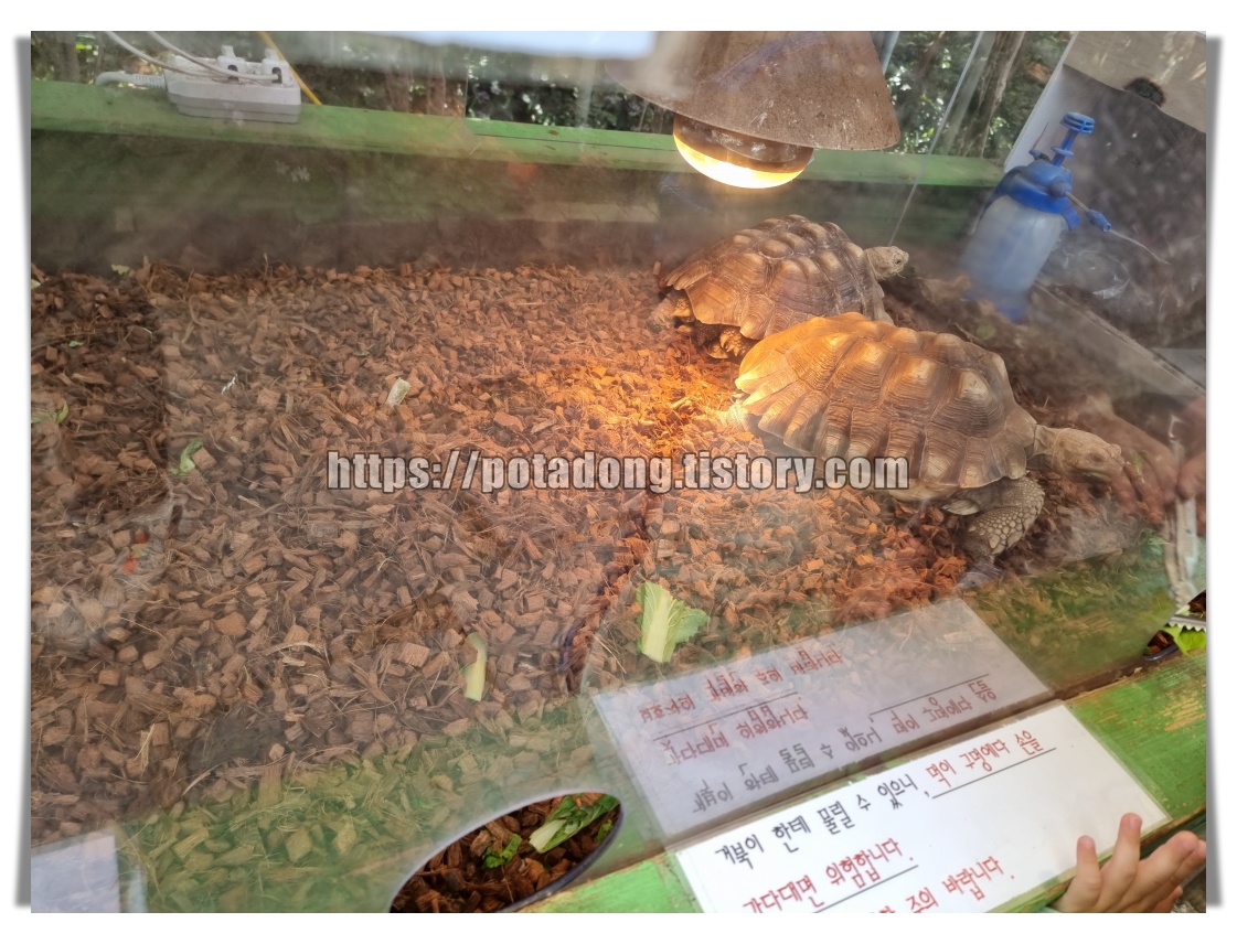 동천자연식물원