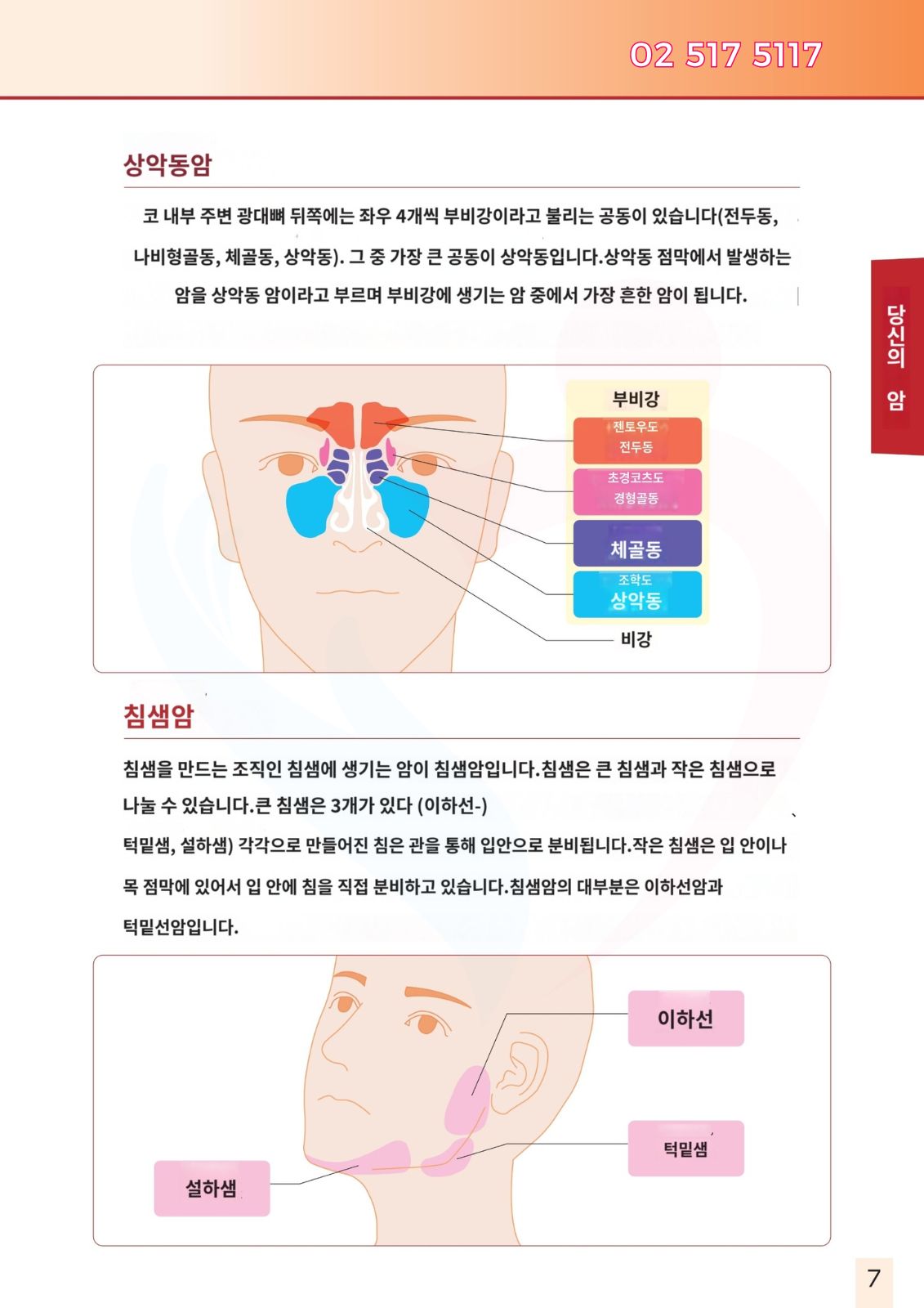 두경부암 광면역치료