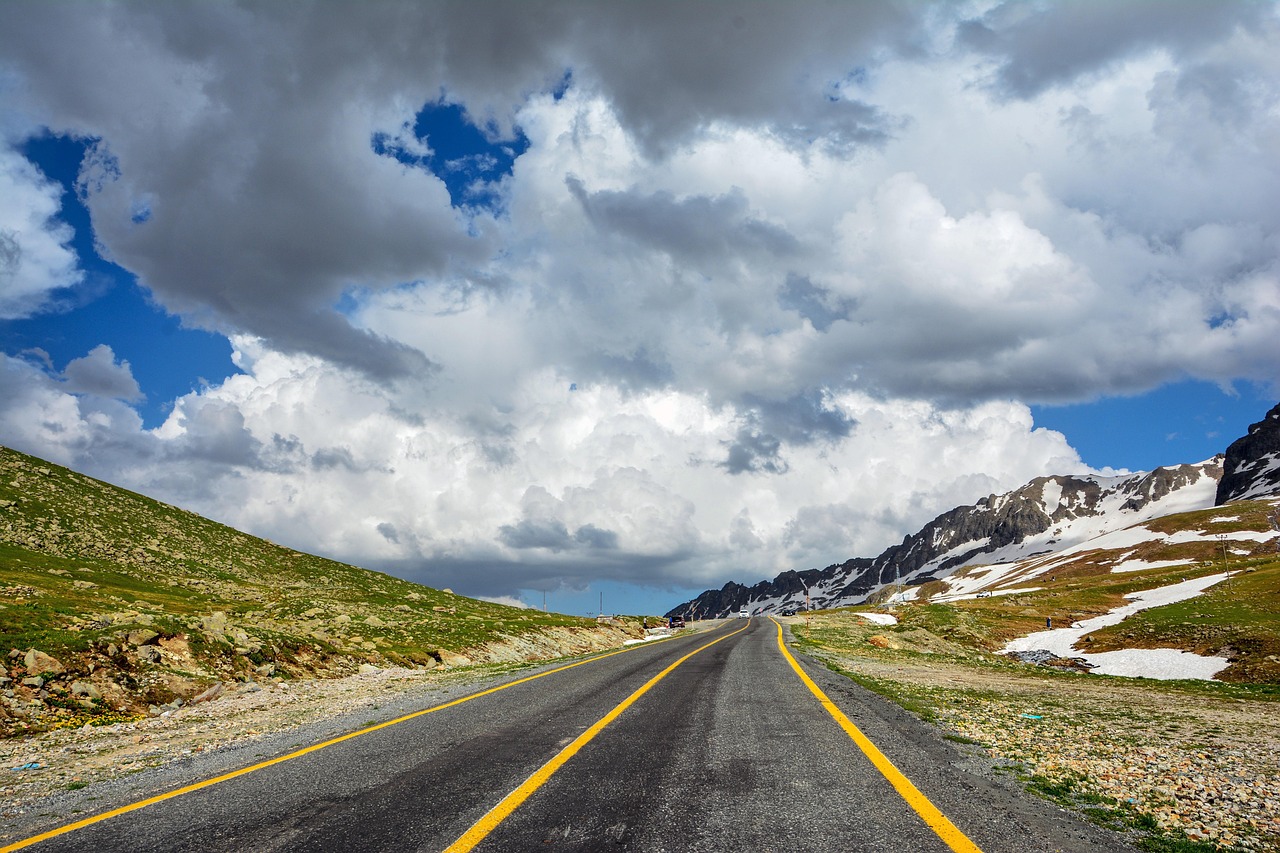 주도주는 약세장에서도 간다 주도주 투자전략
