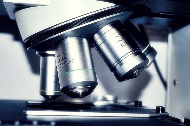 네이처셀 주가분석