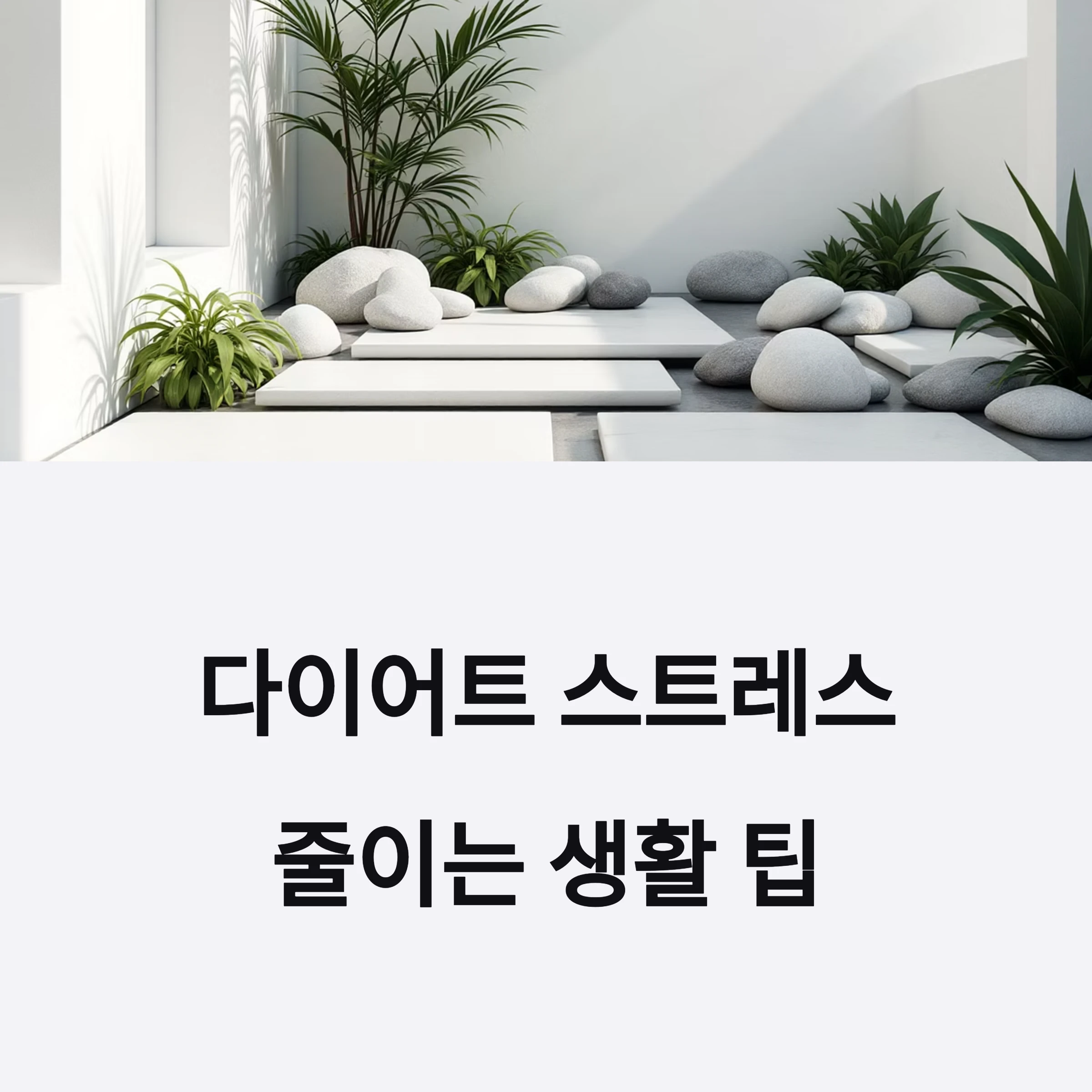 다이어트스트레스