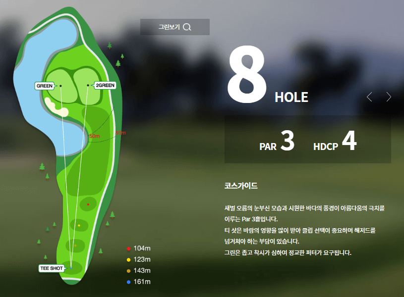 에버리스 골프리조트 파인코스 8