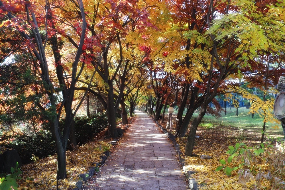 벽초지 수목원