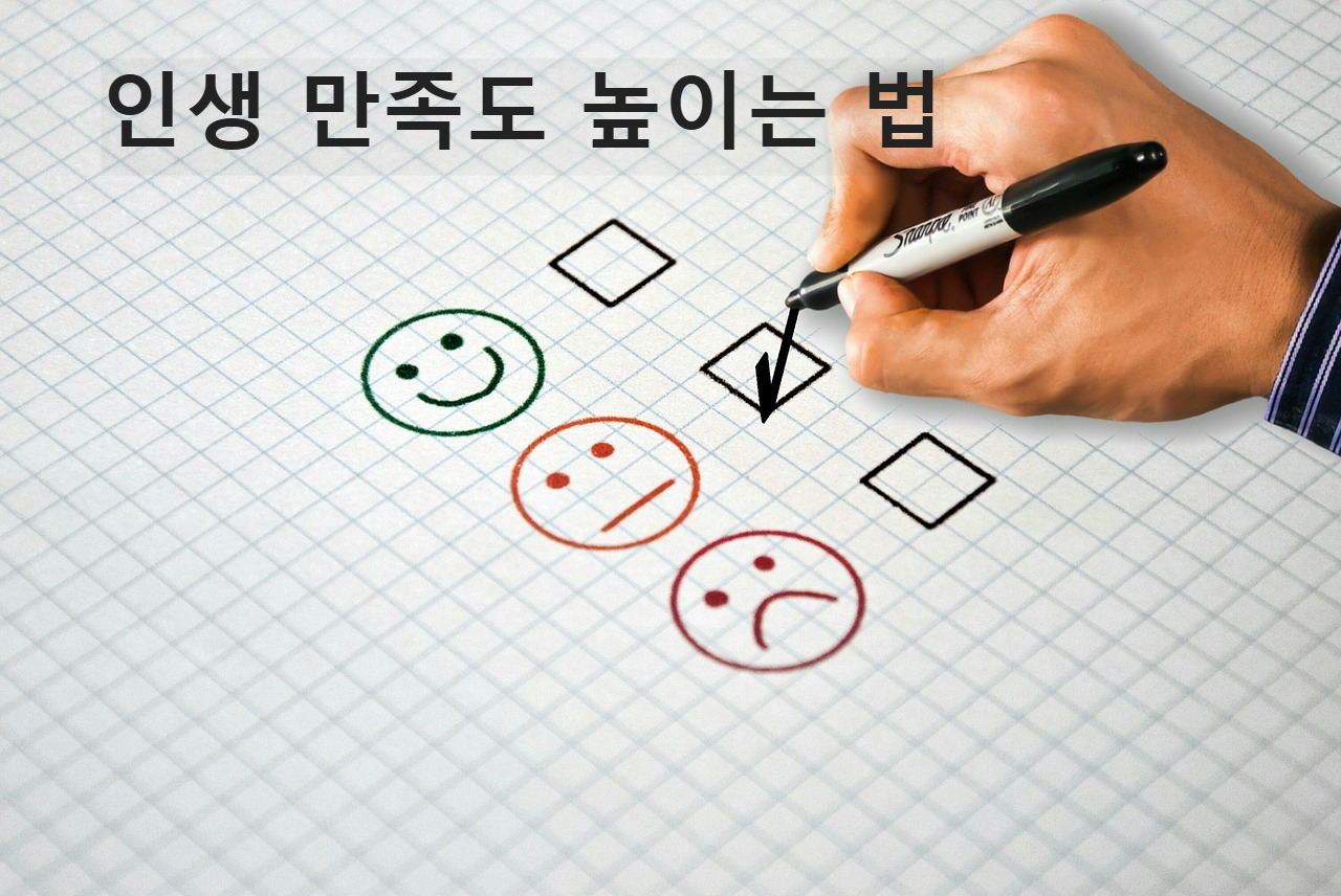 인생 만족도