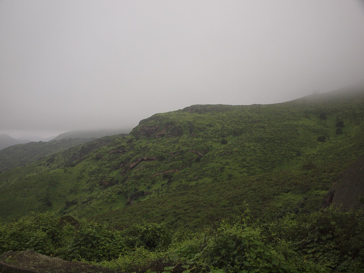 가루아 화산의 일부를 담은 사진
