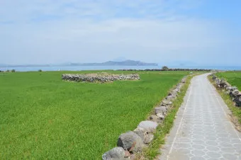 제주 가파도 가는 운진항 배 시간표 요금 예약 예매_7