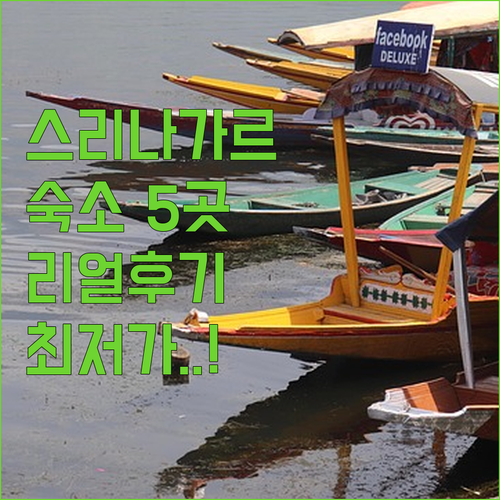 스리나가르 인기 숙소 5곳 리얼 후기..